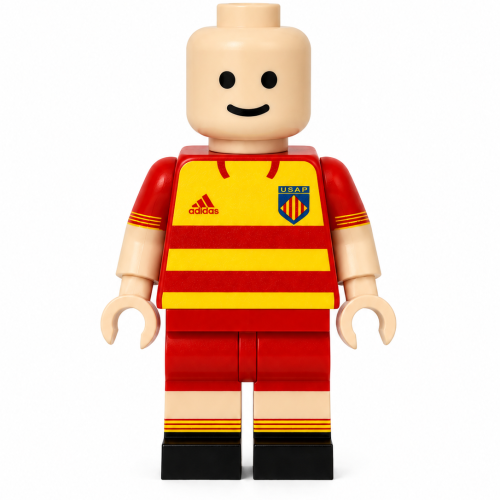 Brickman - USAP