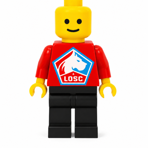 Brickman - LOSC