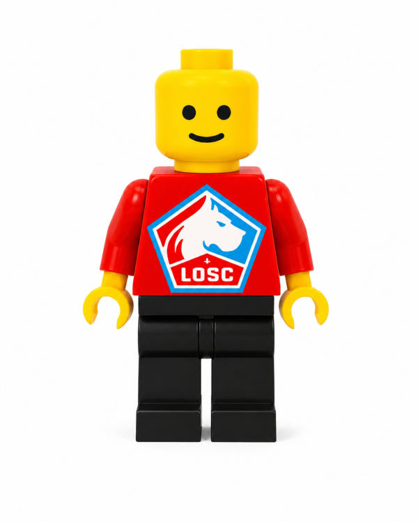 Brickman - LOSC