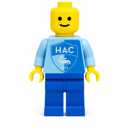 Brickman - HAC Havre