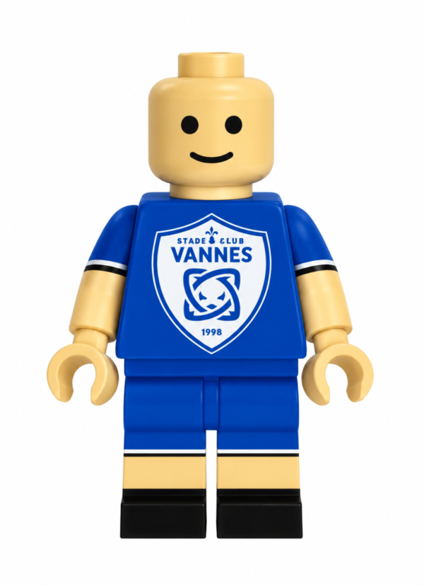 4a640ed3-597f-4a6a-91d5-542273e4cd2a Brickman - RC Vannes